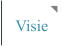 Visie