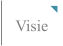 Visie
